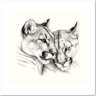 Mountain Lion Couple Love Posters and Art